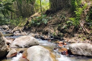 Santa Marta: Trekking in Minca Complete Waterfall Circuit