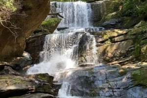 Santa Marta: Vandring i Minca – komplett vattenfallsrunda