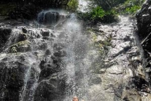 Santa Marta: Vandring i Minca – komplett vattenfallsrunda