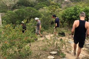 Santa Marta: Vandring i Minca – komplett vattenfallsrunda