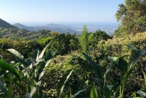 Santa Marta: Vandring i Minca – komplett vattenfallsrunda