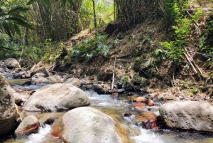 Santa Marta: Vandring i Minca – komplett vattenfallsrunda