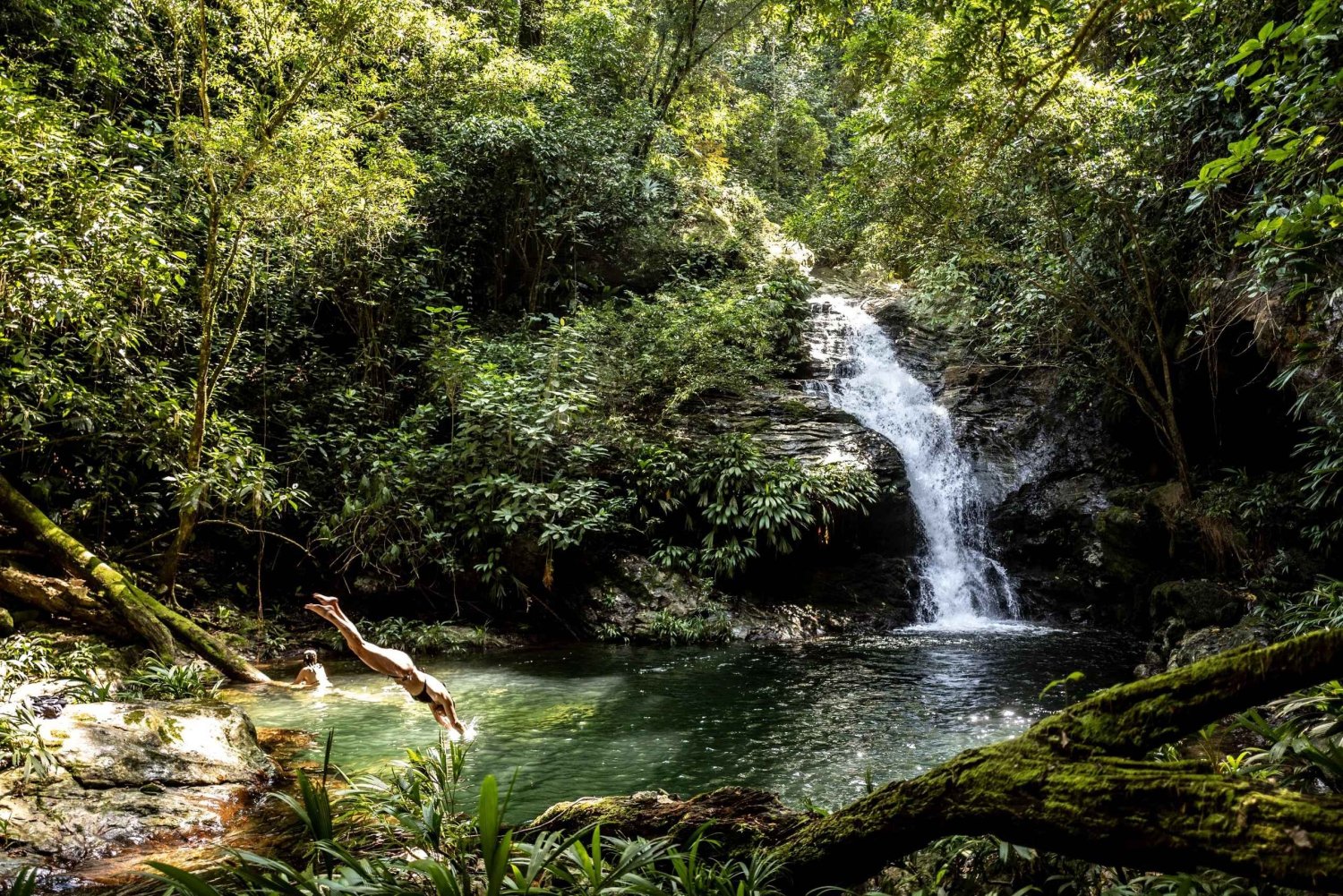 Santa Marta: wandeltocht naar waterval in de jungle in Sierra Nevada met snack