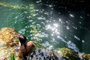 Santa Marta: Vandretur i junglen med vandfald i Sierra Nevada med snack