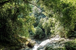 Santa Marta: Vandretur i junglen med vandfald i Sierra Nevada med snack