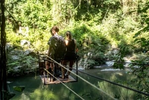 Santa Marta: Vandretur i junglen med vandfald i Sierra Nevada med snack