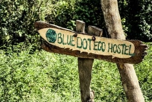 Santa Marta: Vandretur i junglen med vandfald i Sierra Nevada med snack