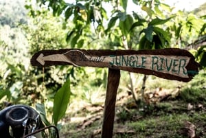 Santa Marta: Vandretur i junglen med vandfald i Sierra Nevada med snack