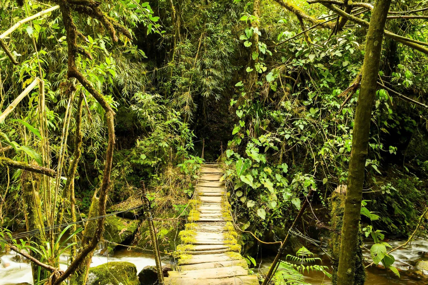 Cascada de Santa Rita y Salento Tour privado