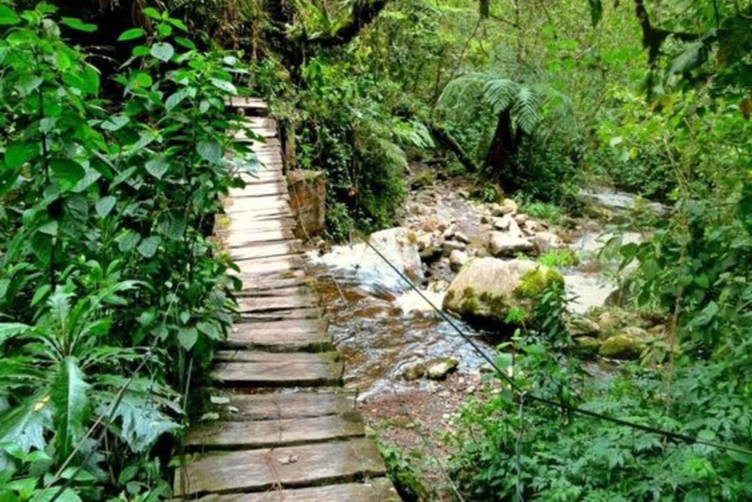 Cascada de Santa Rita y Salento Tour privado
