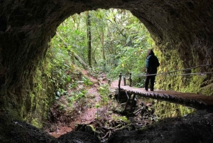 Cascada de Santa Rita y Salento Tour privado