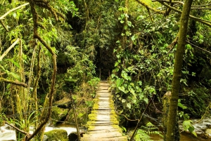 Cascada de Santa Rita y Salento Tour privado