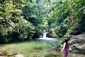 Cascada de Santa Rita y Salento Tour privado