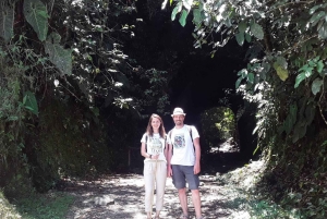 Cascada de Santa Rita y Salento Tour privado