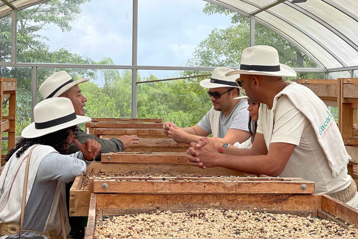 Santa Rosa de Cabal : visite guidée de la plantation de café