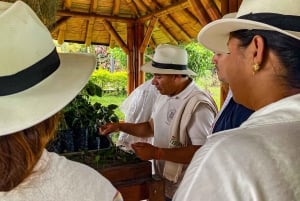 Santa Rosa de Cabal: Coffee Tour at the Coffee Farm