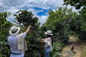 Santa Rosa de Cabal: Coffee Tour at the Coffee Farm