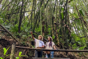 Santa Rosa de Cabal : visite guidée de la plantation de café