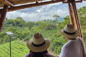 Santa Rosa de Cabal : visite guidée de la plantation de café