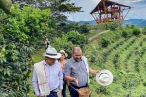 Santa Rosa de Cabal : visite guidée de la plantation de café