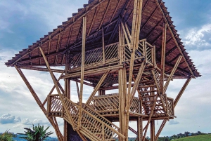 Santa Rosa de Cabal : visite guidée de la plantation de café