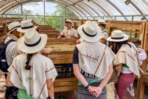 Santa Rosa de Cabal : visite guidée de la plantation de café