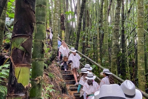 Santa Rosa de Cabal : visite guidée de la plantation de café