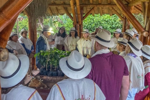 Santa Rosa de Cabal : visite guidée de la plantation de café
