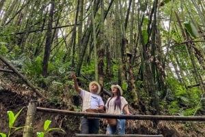 Santa Rosa de Cabal: Wycieczka po plantacji kawy