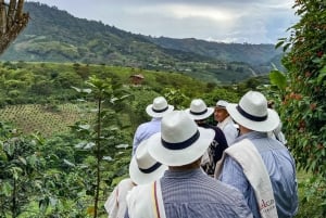 Santa Rosa de Cabal: Wycieczka po plantacji kawy