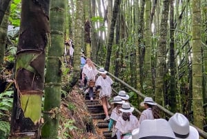 Santa Rosa de Cabal: Coffee Tour at the Coffee Farm