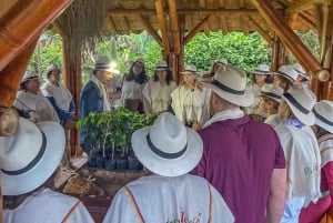 Santa Rosa de Cabal: Coffee Tour at the Coffee Farm