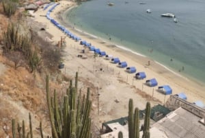 SANTAMARTA: Kombi-Tagestour nach Playa Blanca + Meeresaquarium & Mittagessen