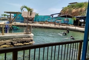 SANTAMARTA: Kombi-Tagestour nach Playa Blanca + Meeresaquarium & Mittagessen