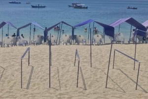 SANTAMARTA: Kombi-Tagestour nach Playa Blanca + Meeresaquarium & Mittagessen