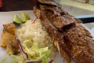 SANTAMARTA: Kombi-Tagestour nach Playa Blanca + Meeresaquarium & Mittagessen