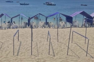 САНТАМАРТА: комбинированная однодневная экскурсия в Плайя-Бланка + морской аквариум и обед