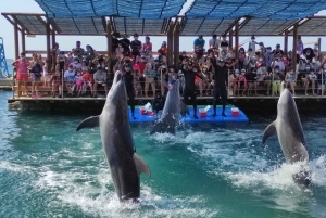 SANTAMARTA: Combo Tour Canopy, Aquarium, White Beach, Lunch included.