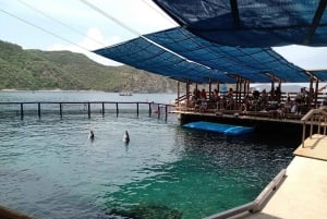 SANTAMARTA: TOUR Combo boat taxi, aquarium, lunch, and white sand beach