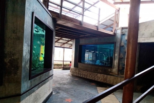 SANTAMARTA: TOUR Combo boat taxi, aquarium, lunch, and white sand beach