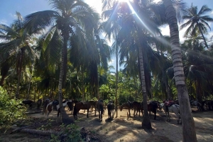 SANTAMARTA: TUR Cabo San Juan Del Guia Tredje sektorn av Tayrona nationalpark.