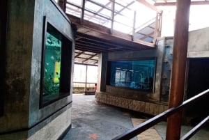 SANTAMARTA: WYCIECZKA Kombinacja taksówki wodnej, akwarium, lunch i biała plaża