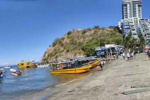 サンタマルタ：ツアー コンボ・キャノピー・ツアー、ホワイト・ビーチ、昼食付