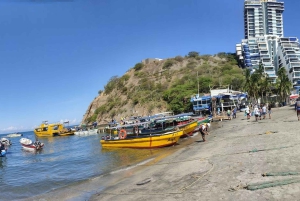 SANTAMARTA: TOUR Combo canopy tour, white beach, lunch included