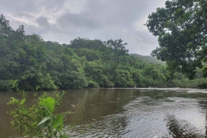 SANTAMARTA: TUR Palomino, Magdalena. Morgenmad og frokost inkluderet