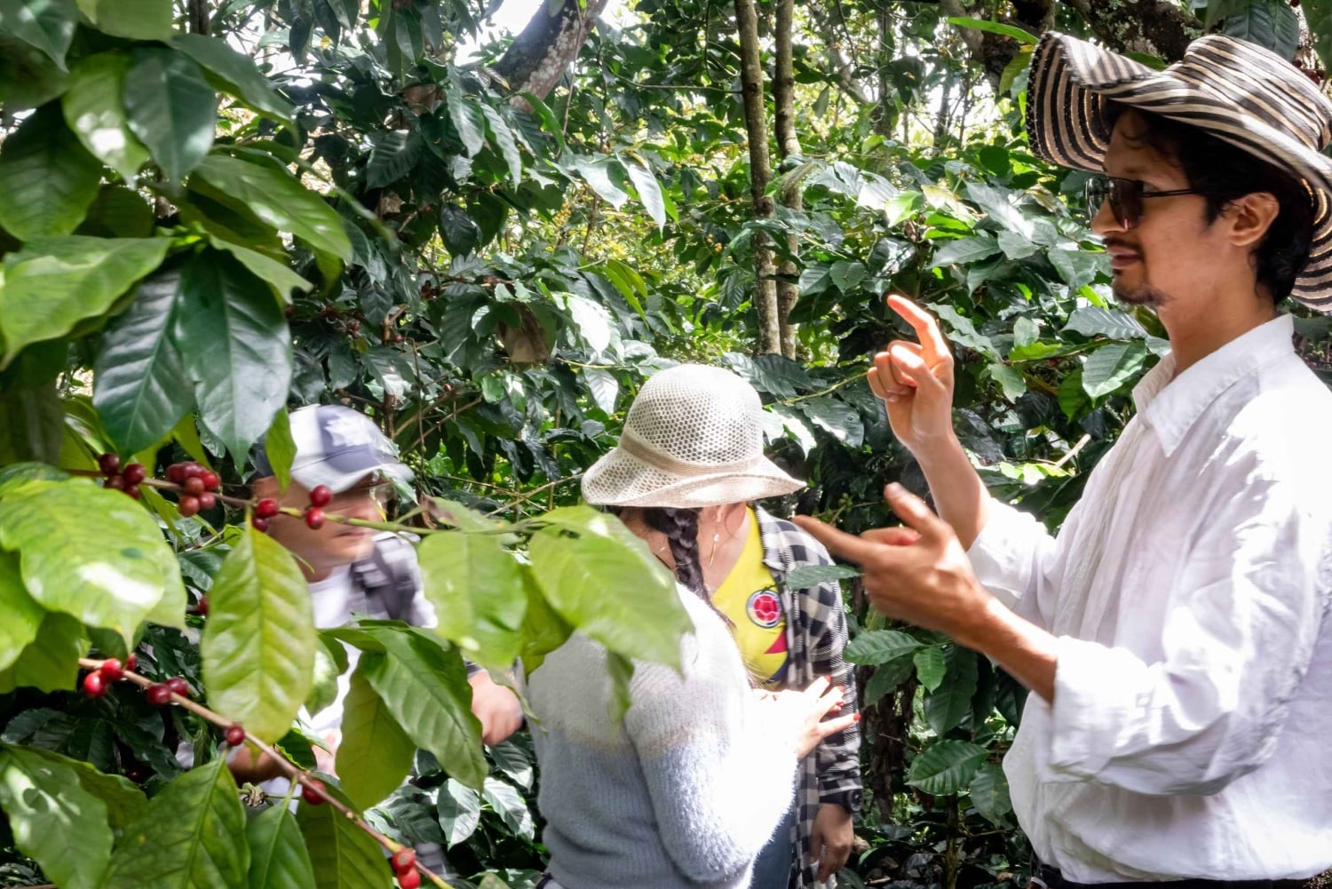 Santander: Rute for kaffeopplevelser