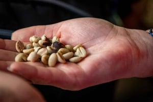 Santander: Coffee Experience Route