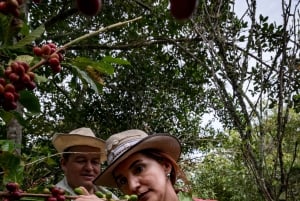 Santander: Coffee Experience Route