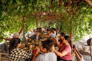 Santander: Coffee Experience Route