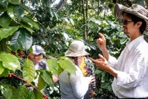 Santander: Rute for kaffeopplevelser